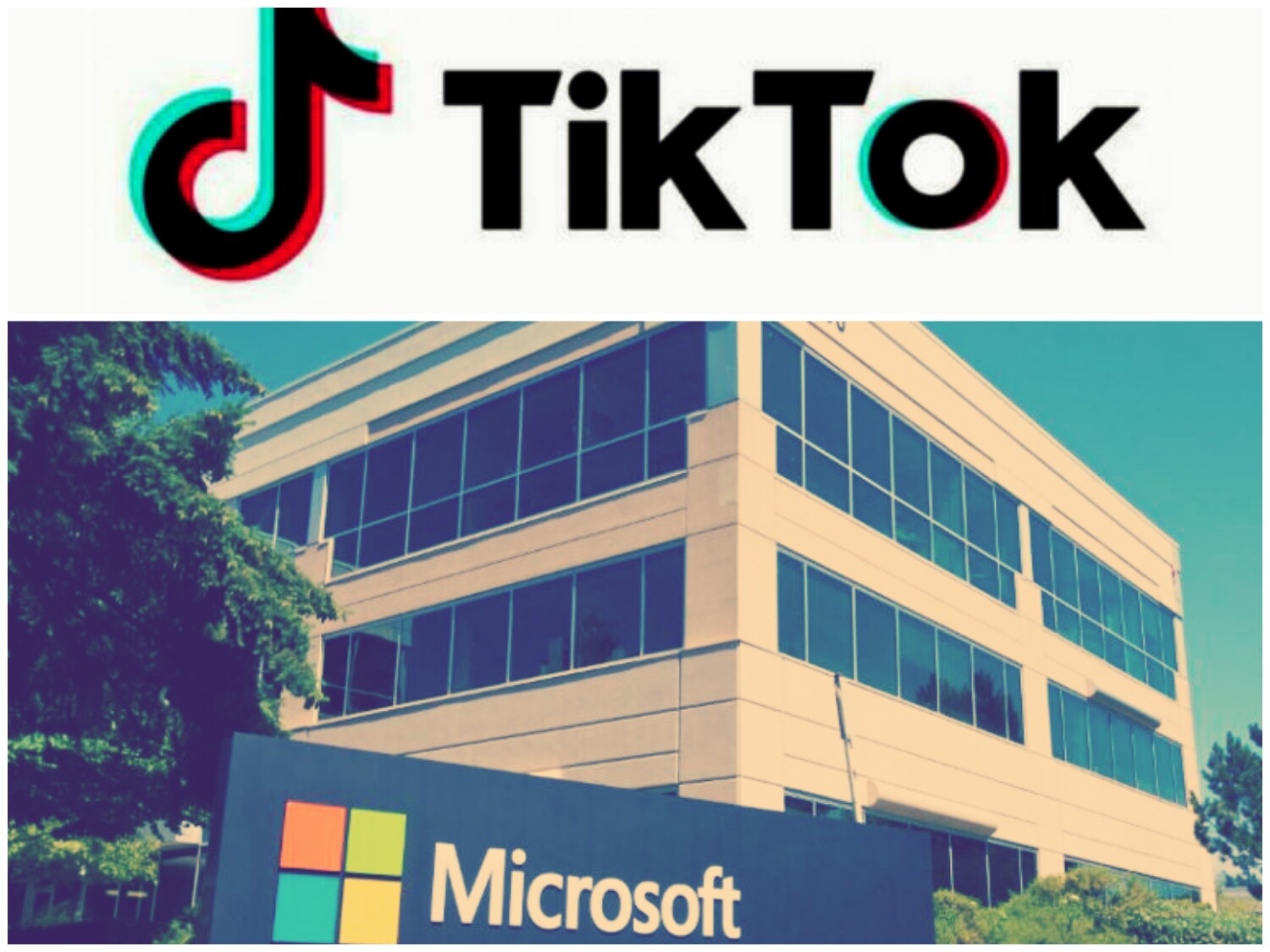 شركة مايكروسوفت الأمريكية إستحوذت على برنامج التيك توك في عالم التكنلوجيا والإنترنت