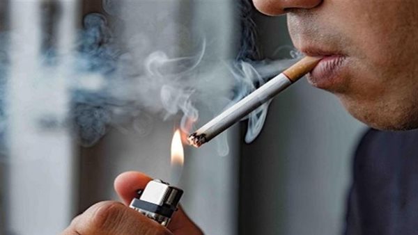 دراسة جديدة تكشف العلاقة بين التدخين اليومي وتقلص حجم الدماغ